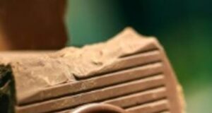 Agroalimentaire : Barry Callebaut mise près de 2,95 milliards de FCFA sur la science en France, pendant que le Cameroun reste un pilier de sa stratégie africaine