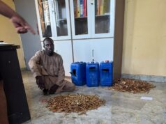 Kousséri : une saisie massive de munitions révèle les failles économiques du corridor tchado-camerounais