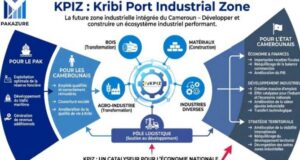 Analyse économique : que faut-il vraiment attendre de la Kribi Port Industrial Zone, cet espace que vante tant le port autonome de Kribi