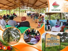 Agro-industrie : Socapalm articule foncier, emploi et suivi des engagements avec les communautés riveraines