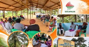 Agro-industrie : Socapalm articule foncier, emploi et suivi des engagements avec les communautés riveraines