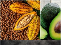 Commerce international : cacao, café, avocat camerounais débarrassés à 100 de tout droit de douane sur le marché chinois