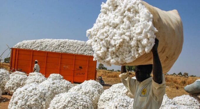 coton-ok