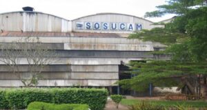 Agro-industrie : Somdia cède sa participation dans SOSUCAM à un consortium camerounais adossé à un programme d’investissement de 137,7 milliards de FCFA